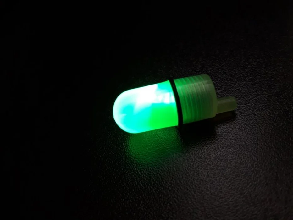 Светлячок большой